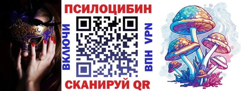 Псилоцибиновые грибы Psilocybe  даркнет сайт  Бородино 
